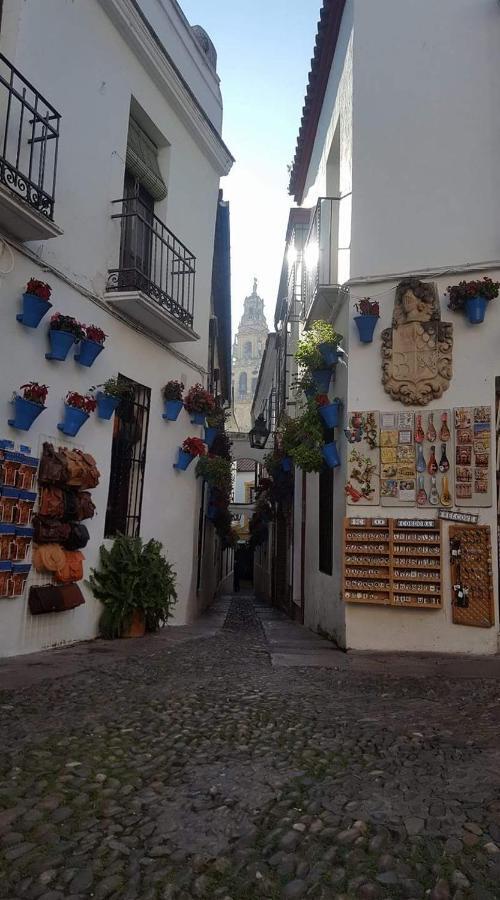 Ferienwohnung Centro Córdoba Zimmer foto